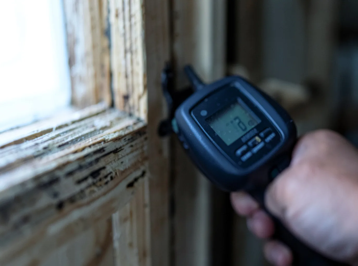 Commercial Water Damage Restoration in North Star, MI